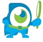 Digital Search Group Ltd. Logo