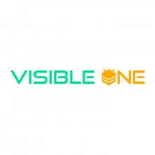 Visible One Logo