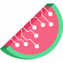 Melonbyte Logo