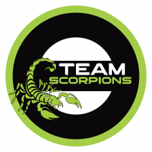 Team Scorpions Logo