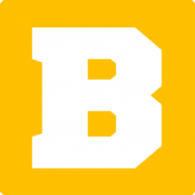 Bulls Oribt Logo