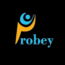 Probey Services Private Limited Logo