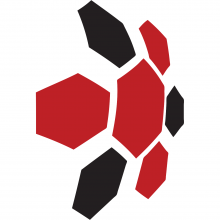 Adept Networks Logo