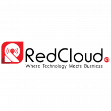 RED CLOUD INFORMATION TECHNOLOGY SERVICES COMPANY Logo